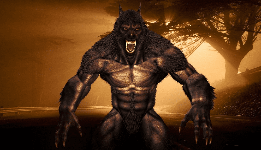 nom pour un loup garou