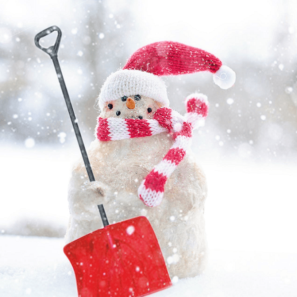 noms pour un bonhomme de neige